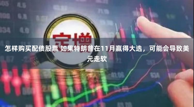 怎样购买配债股票 如果特朗普在11月赢得大选，可能会导致美元走软