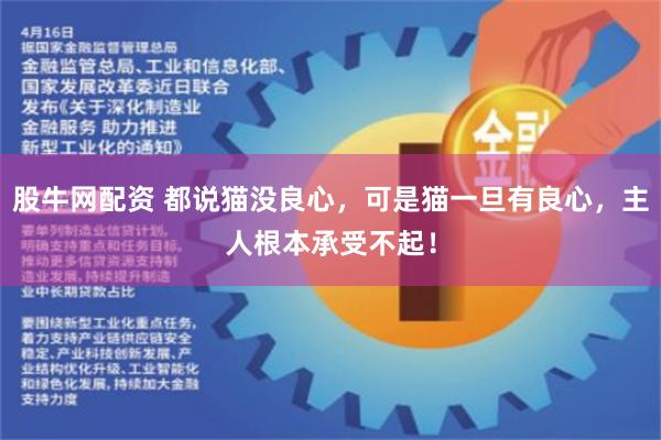 股牛网配资 都说猫没良心，可是猫一旦有良心，主人根本承受不起！