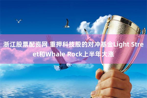 浙江股票配资网 重押科技股的对冲基金Light Street和Whale Rock上半年大涨
