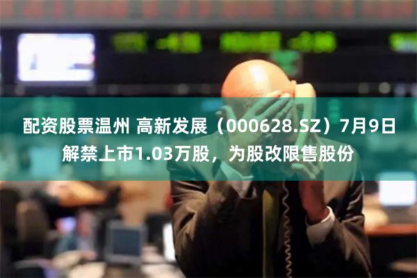 配资股票温州 高新发展（000628.SZ）7月9日解禁上市1.03万股，为股改限售股份