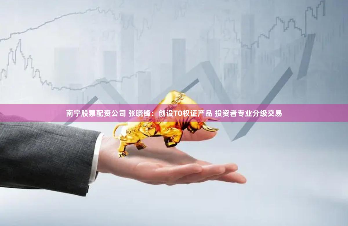 南宁股票配资公司 张晓锋：创设T0权证产品 投资者专业分级交易