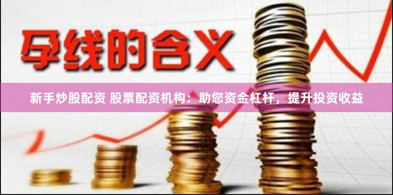 新手炒股配资 股票配资机构：助您资金杠杆，提升投资收益